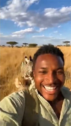 Running Wild: Rescuing a Baby Zebra on the Savanna😮🦓 #wildlife