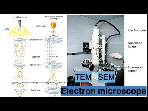 Electron microscope| Study with me| Prescott's Microbiology| Day 19| Chapter 2| Micro...