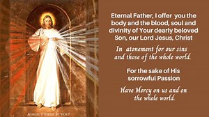 9.2K views · 324 reactions | The Divine Mercy Devotion Devotion to...