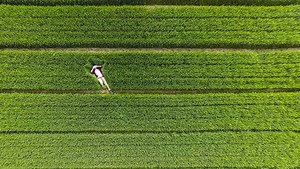 The Best of Drone Photography in 2015