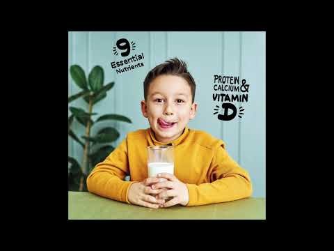 Food Pyramid: Guide To Your Diet