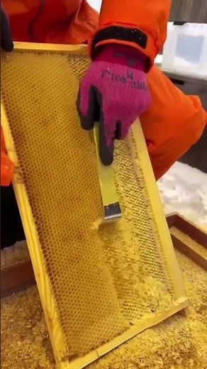 Satisfying Video | Daily Satisfaction Video | Satisfied TV