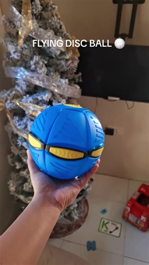 Flying Disc Ball for Kids - Perfect Outdoor Fun