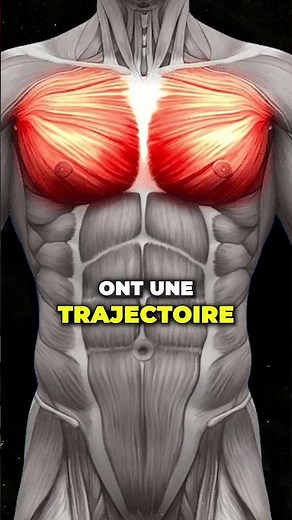 Comment sentir et bien développer tes pectoraux