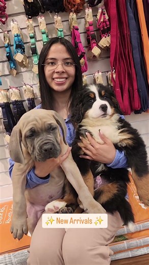 Fresh faces, wagging tails, and endless puppy kisses 🐾✨