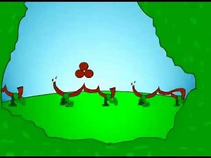 Alif Baa Taa Sa , ARABIC ALPHABET FOR KIDS , LEARN SONG