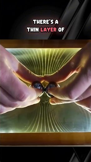 Visualizing a Magnetic Field