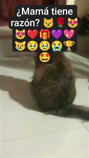 ¿CREES QUE SOY LINDO? ¿MAMÁ TIENE RAZÓN? 😭🥹😿💖🥰💜🎁❤😻🌹😾
