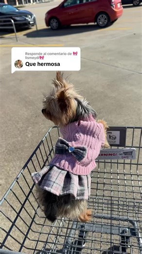 Respuesta a @🎀lismeydi🎀 1pc Dog Sweater Dress for Small Dogs Winter Warm Dog Turtleneck Sweater Soft Puppy Knitwear Clothes Cute Doggie Dresses for Teacup Dog Yorkie Chihuahua#peludosfelices