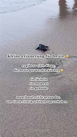 konzentrier dich auf das, was heute gut ist ☀️💛#positivevibes #goodenergy #lebensfreude #enjoylife
