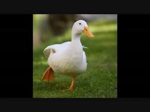 あのCMソングのフルを集めてみた②