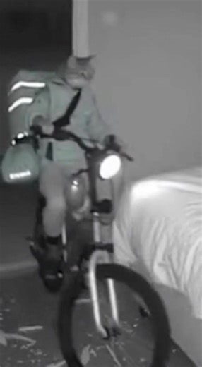 POV: Ordering Chinese Delivery and Falling Asleep