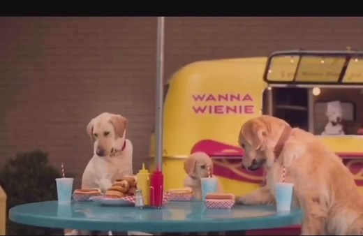 Cuteness Overload: Adorable Dog Commercials