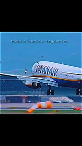 26 reactions | RayarAir B737 Multiple Bird Strike on Landing ✈ #aviation #foryou #followforfollowback #post :Miketheavgeek | Kpk Aviation | Facebook