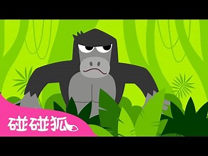 森林 嘭嘭｜谁在森林里生活啦❓🦍 🐊｜动物儿歌｜Jungle Boogie｜中文儿歌｜碰碰狐儿歌｜Nursery Rhymes｜碰碰狐Pinkfong