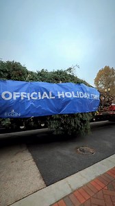 🎄Our crews installed this year’s Holiday Tree today in DuPage Court. Donated by Journey of Hope Church, the tree was lifted into place in downtown Elgin. The tree is now set and getting ready for next Saturday’s celebrations on Nov. 29 for the Tree Lighting Ceremony. Festivities start at 10 a.m. with family fun, trolley rides, festive photo ops, a holiday beverage crawl and more. The tree lighting ceremony begins at 5 p.m. with Mayor Kaptain and Santa. The tree will remain illuminated until Jan