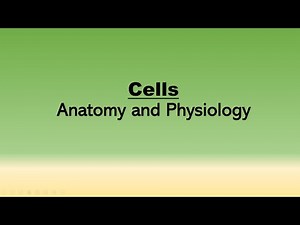Cell Biology Review