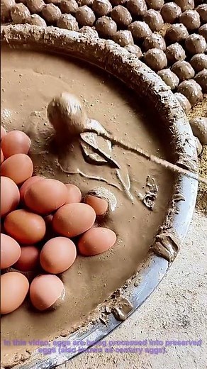 Century Egg Processing: How Eggs Are Turned into Preserved Eggs – Traditional Technique