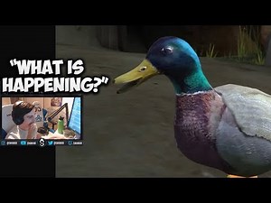 Shroud Reacts To "[SFM] Duck.exe has stopped working" & "Berdthday boy" by an0nymooose
