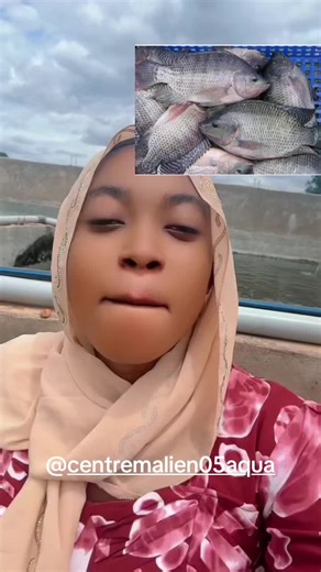 Formation moderne en pisciculture au Mali