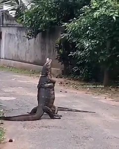 23 reactions · 16 shares | TheZone on Reels | Facebook