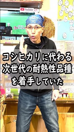 【特A】コシヒカリに代わる次世代品種「にこまる」