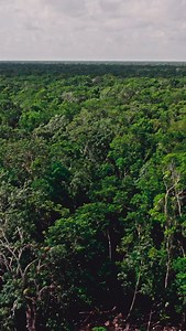 En el corazón de Francisco Uhmay, Qna Roo, emerge una joya escondida entre la selva: una villa de alto lujo Ecochic, donde el diseño contemporáneo se funde con la naturaleza en perfecta armonía. Cada espacio ha sido concebido para ofrecer elegancia, confort y conciencia ecológica: materiales naturales, energía sustentable y una arquitectura que respira con el entorno. Aquí, el lujo no se mide por el exceso, sino por la conexión con la tierra, el silencio y la autenticidad del entorno maya. Una e