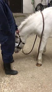 1.1M views · 2.6K reactions | hoer cloning time | Matt Williams | Facebook