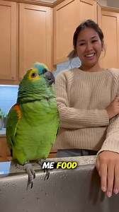 118K views · 4.7K reactions | Ladies and gentlemen… welcome to the kitchen opera 列 “No one understands me! No one loves me!” “This sink is my stage!” And the grand finale? He just wanted food  Follow TheRealBeako for more dramatic parrot moments you didn’t know you needed. | Beako | Facebook