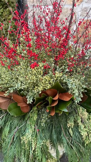 That’s a wrap! Love all the color and sparkle that we’ve added all over town. Time to kick back and enjoy the season 🎅🏻🎄⛄️#holiday2025 #holidaysparkle #wintercontainergarden #holidaydecor #holidaycontainers #christmasdecor | CT Curb Appeal Designs