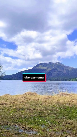 TikTokでIif Fiiさんをチェック！