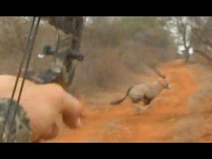 Bow and Spear Hunting Classic Kill Shots