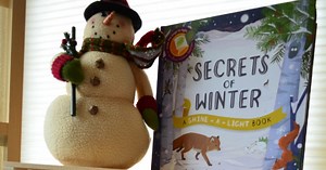 Winter Books for Children