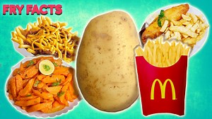 From their legendarily humble beginnings to their debut at White House dinners, french fries have a long and storied history. | Weird History