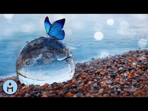 30 MINUTI di Musica Calmante Per Rilassarsi: Relax con Suoni Della Natura per Benessere