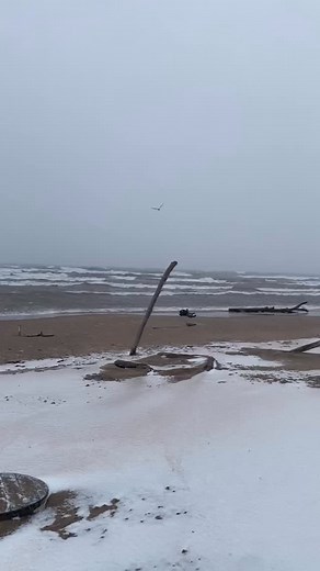 #beachday | Miller’s Cottages