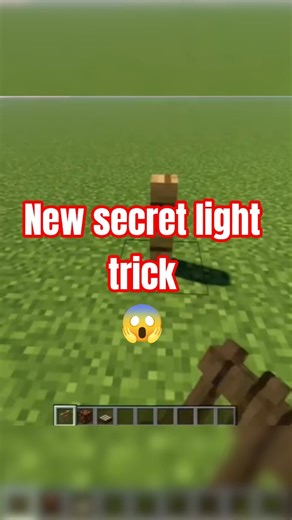 I Found a Hidden Light Trick in Minecraft 😱💡#minecraft#shorts