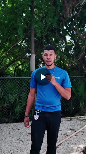 Looking to buy a used car? We share our thoughts on the cars we’ve seen over the years. | Jonathan Webster