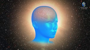 19 reactions · 15 shares | 7 Chakras Explained !!! | Nirvana Healing Centre | Facebook