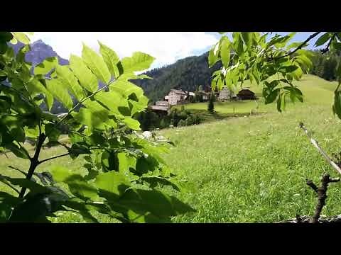 Relax 8 Hours Relaxing Morning Sounds with Rooster, Chickens, Birds Chirps