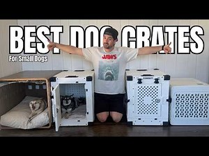 Best Dog Crates for Small Dogs (2026): My Top 5 Tested