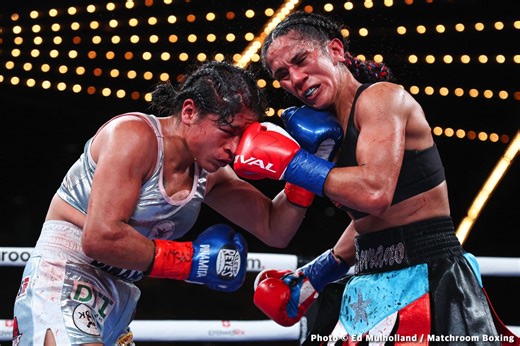 In Defense Of The Brawlers