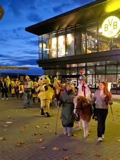 Maskottchen EMMA on Instagram: "So viele leuchtende Laternen! 🐝🕯️ Mein erster BVB-Laternenumzug war einfach wundervoll – 450 kleine und große Borussen haben mit mir gesungen, gelacht und gefeiert 💛 Danke an die @chorakademie_dortmund & @maedchenchor_chorakademie für die tollen Lieder und an Max & Frida für das wunderschöne St. Martins-Schauspiel! 🖤💛 #maskottchenemma#bvblaternenumzug#sanktmartin#sanktmartinsumzug"