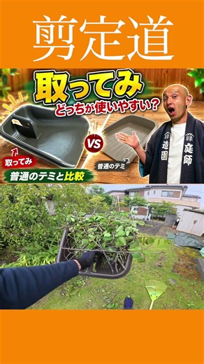 おしゃれなお庭用チリトリ【取っテミ】従来のテミと使い心地を検証！！ #剪定道 #庭作業 #庭木の剪定 #切り枝 #枝葉 #掃除 #ガーデニング #初心者
