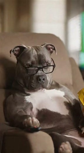 The Ultimate Remote Control Battle! 💀