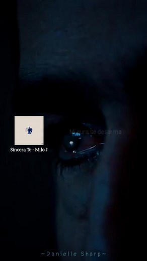 Olvidando el Pasado: Reflexiones de Sinceridad