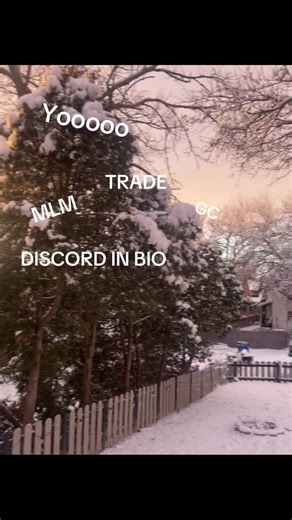 Explore MLM Trading Opportunities on Discord
