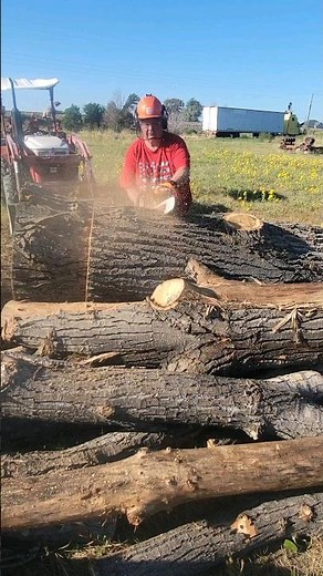 Cutting Big Logs with Stihl 500i