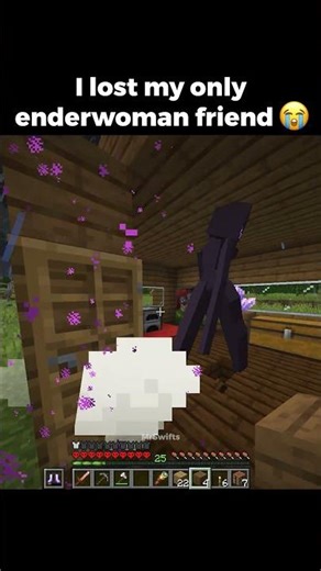 How I Lost My Minecraft Enderwoman Friend