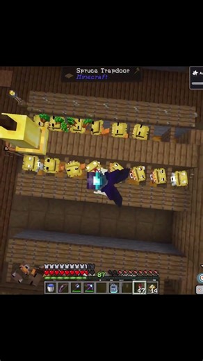 Anyone else regret their auto-carrot farm? #minecraftserver #minecraftmods